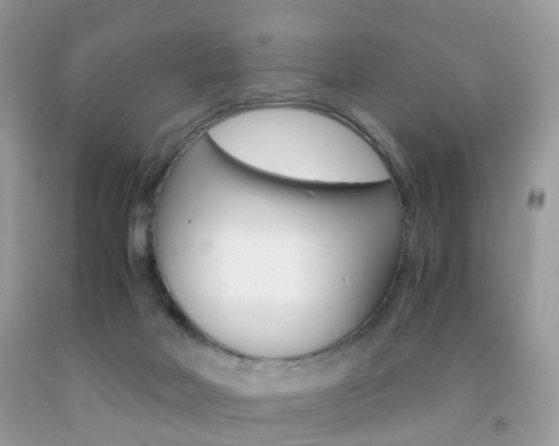 X0000091940026200709051312