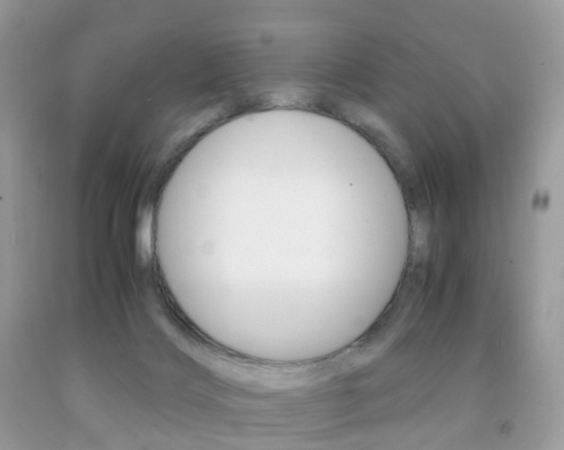 X0000091940028200709051312