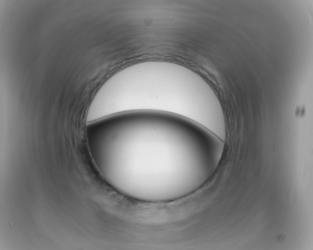 X0000091940029200709051312