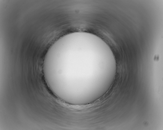 X0000091940030200709051312