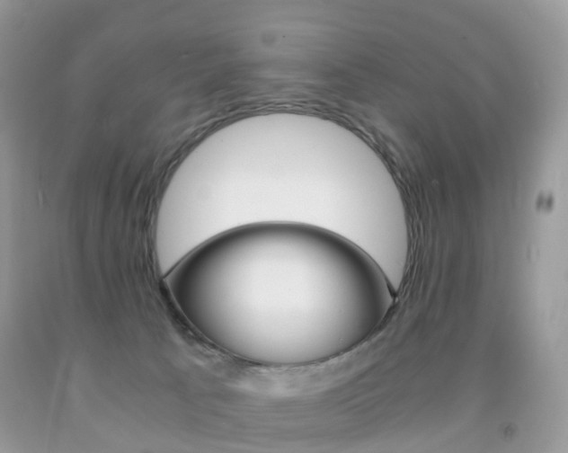 X0000091940033200709051312