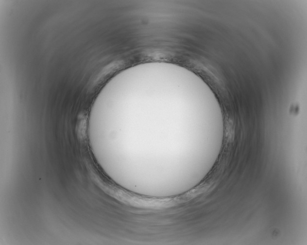 X0000091940036200709051312