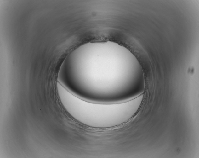 X0000091940037200709051312