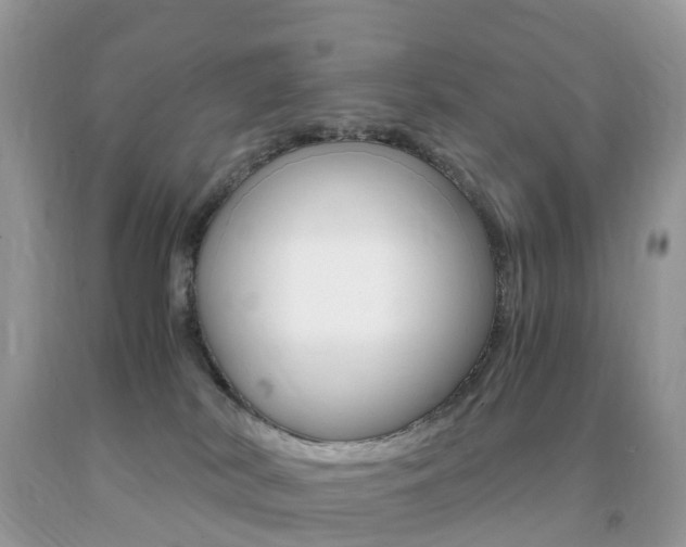 X0000091940038200709051312