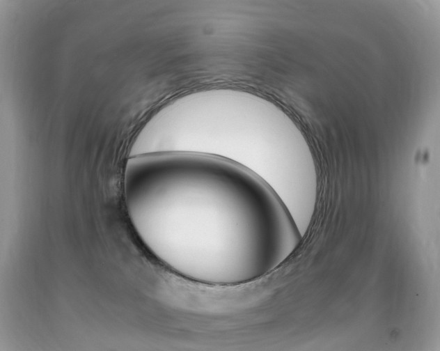 X0000091940039200709051312