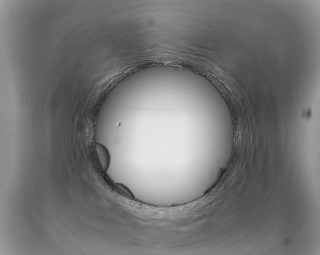 X0000091940043200709051312