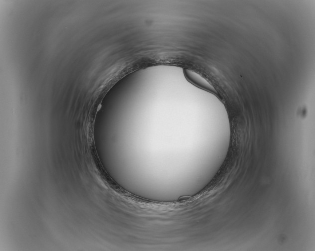 X0000091940044200709051312