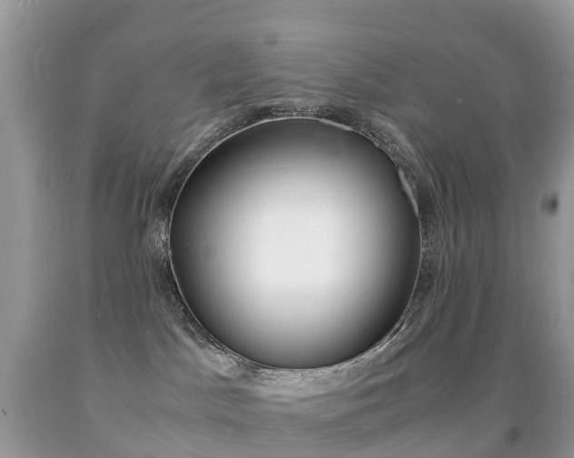 X0000091940045200709051312