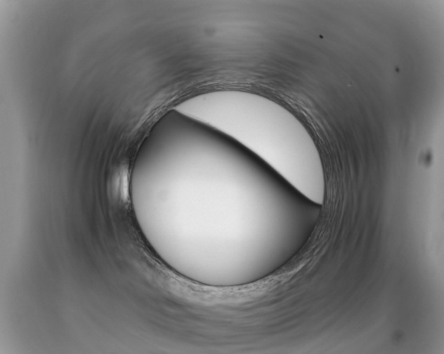 X0000091940046200709051312