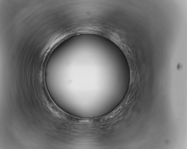 X0000091940050200709051311