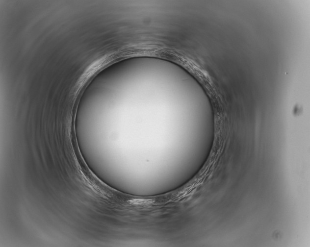 X0000091940051200709051311