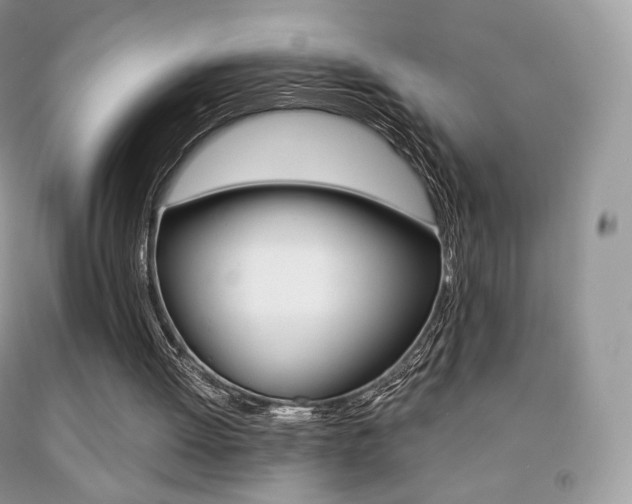 X0000091940052200709051311