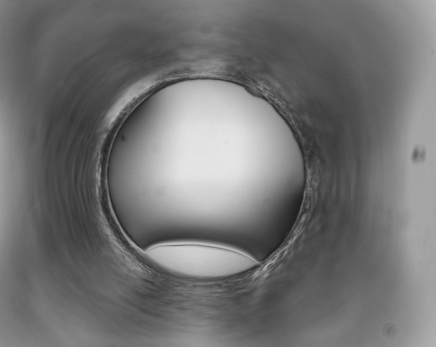 X0000091940054200709051311