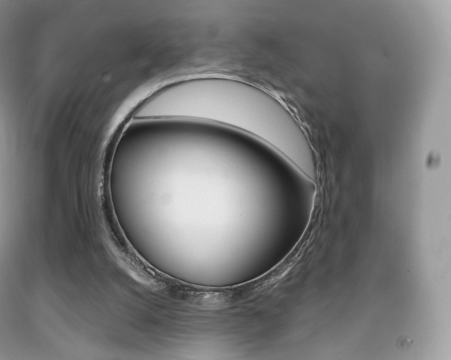 X0000091940056200709051311