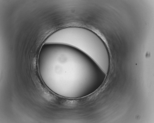 X0000091940057200709051311