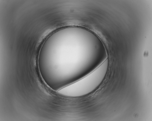 X0000091940060200709051311