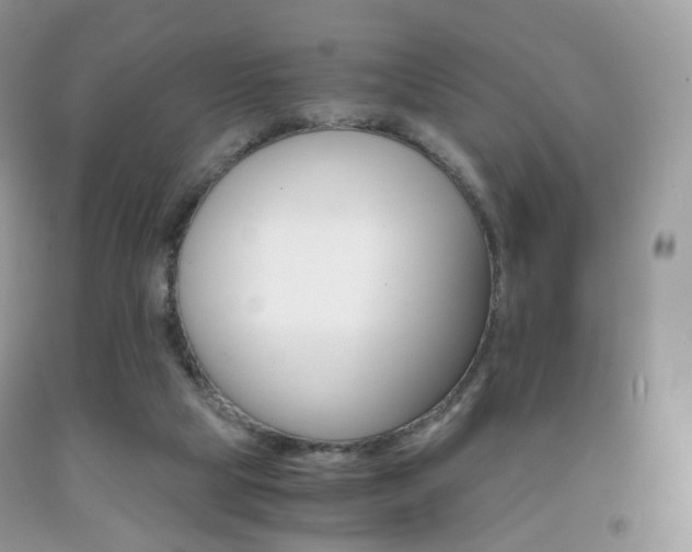 X0000091940065200709051311