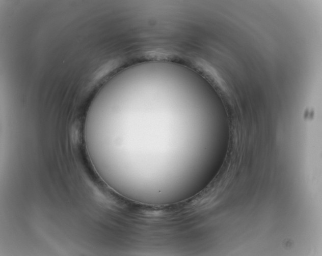 X0000091940071200709051311