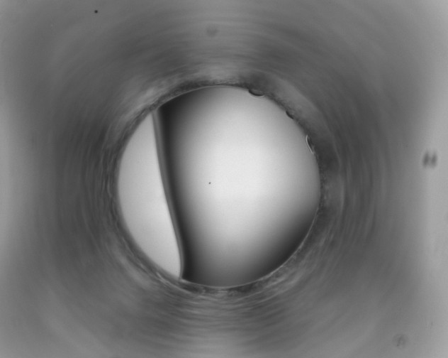 X0000091940072200709051311