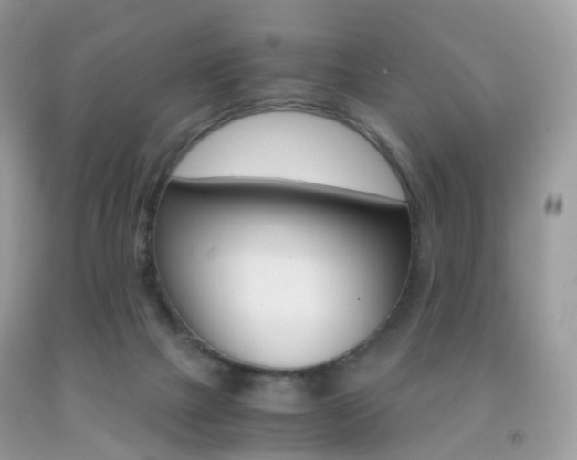 X0000091940073200709051311