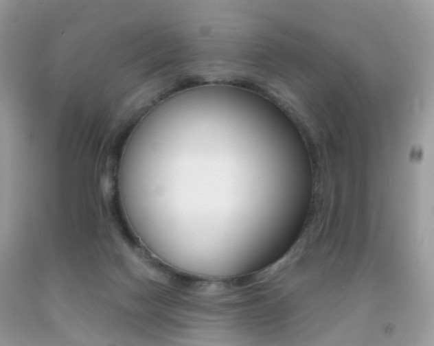 X0000091940074200709051311