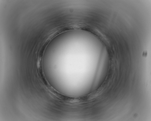 X0000091940075200709051311