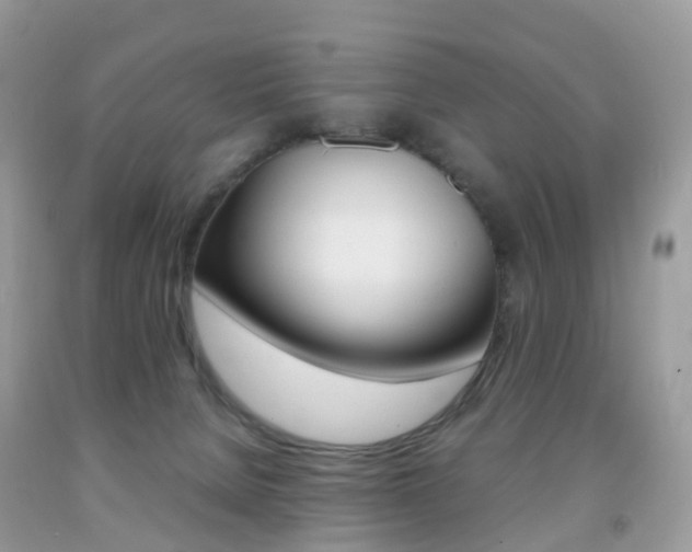 X0000091940080200709051311