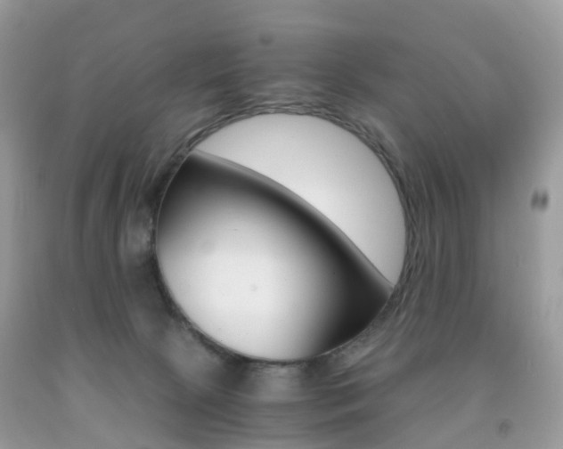 X0000091940081200709051311