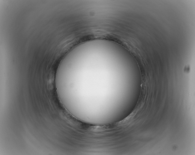 X0000091940082200709051311