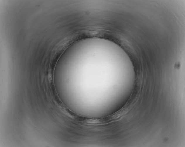 X0000091940085200709051311