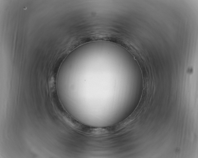 X0000091940087200709051311