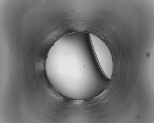 X0000091940090200709051311