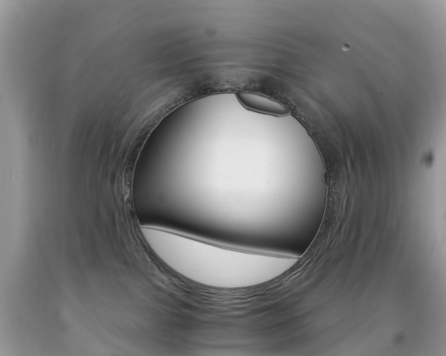 X0000091940091200709051311