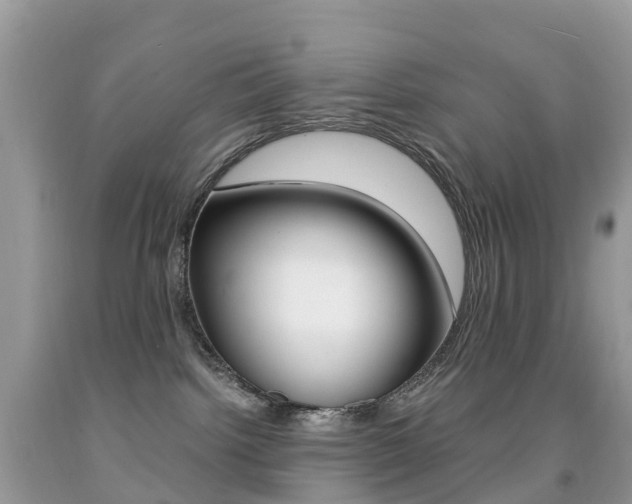 X0000091940092200709051311