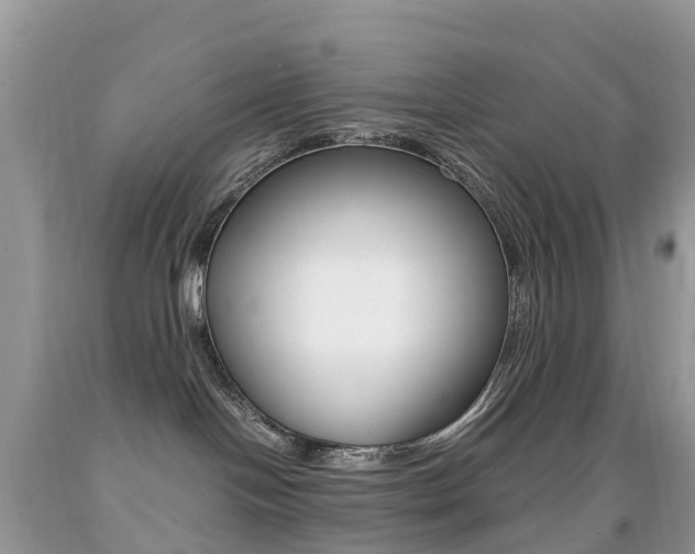 X0000091940094200709051311