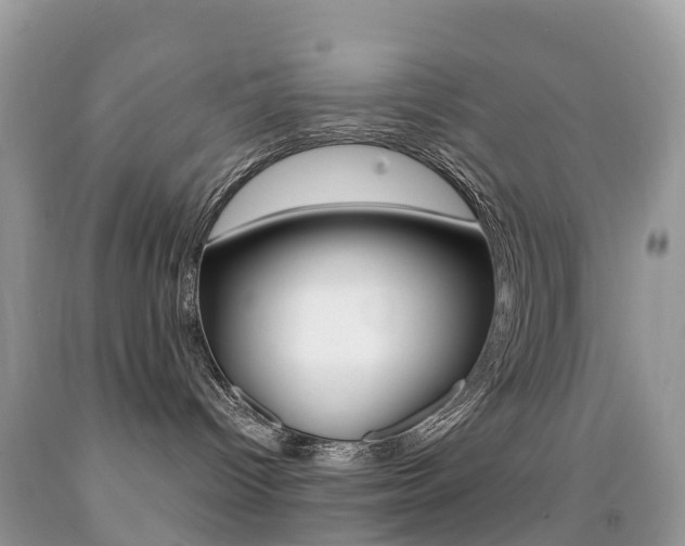 X0000091940096200709051311