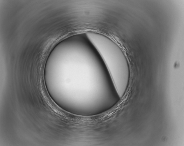 X0000091940097200709051311