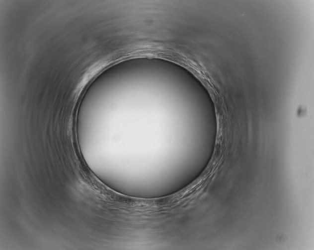 X0000091940099200709051311