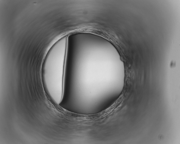 X0000091940100200709051311