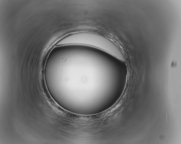 X0000091940101200709051311