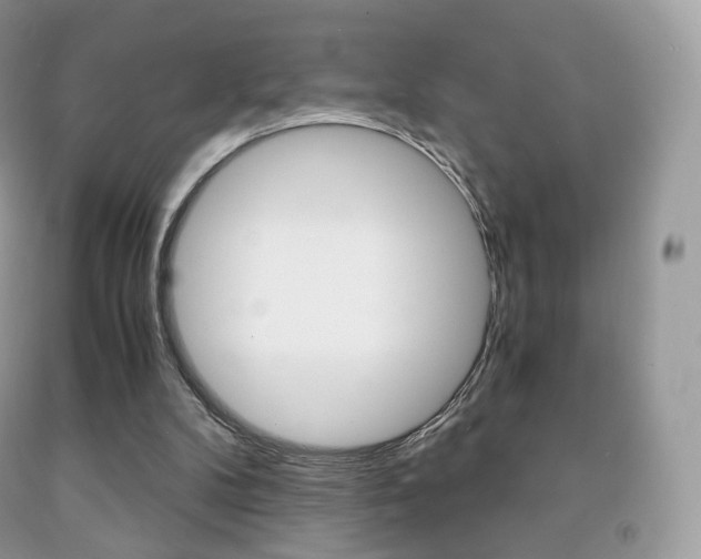 X0000091940104200709051311