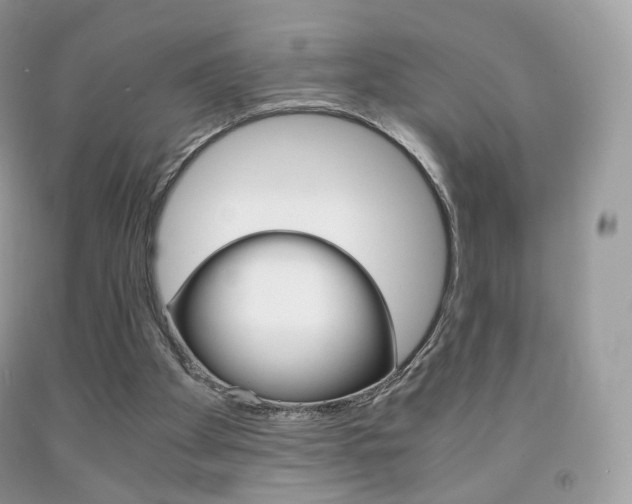 X0000091940105200709051311