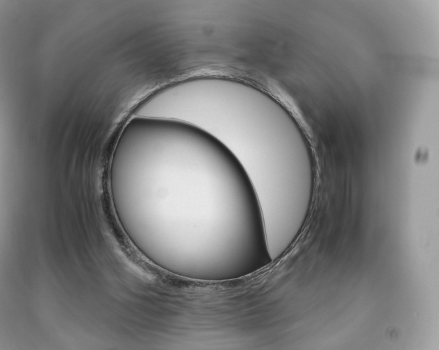 X0000091940106200709051311