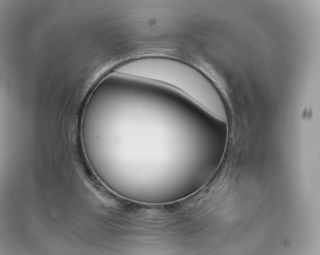 X0000091940107200709051311