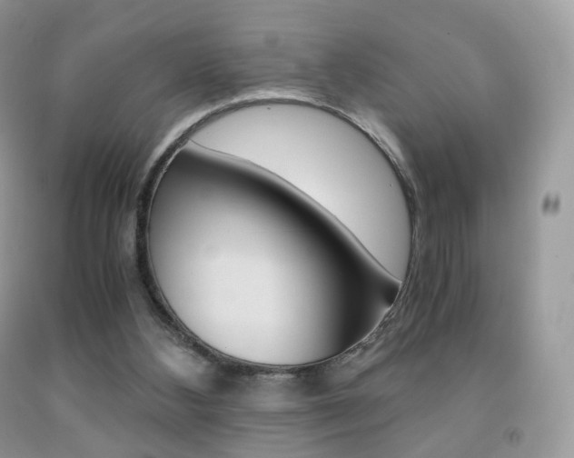 X0000091940108200709051311