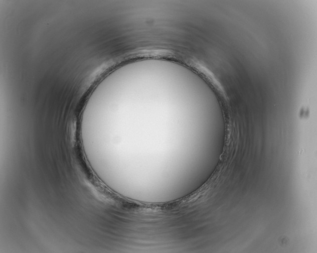 X0000091940110200709051311