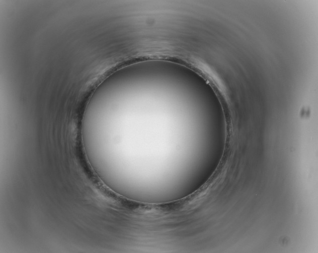 X0000091940113200709051311