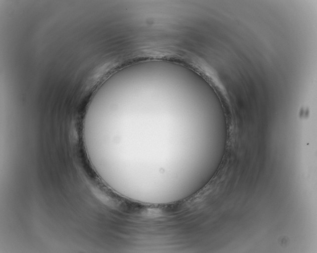 X0000091940114200709051310