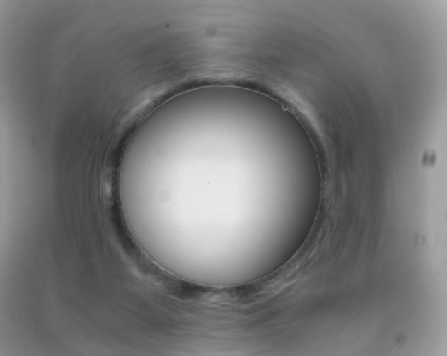 X0000091940115200709051310