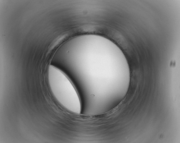 X0000091940116200709051310